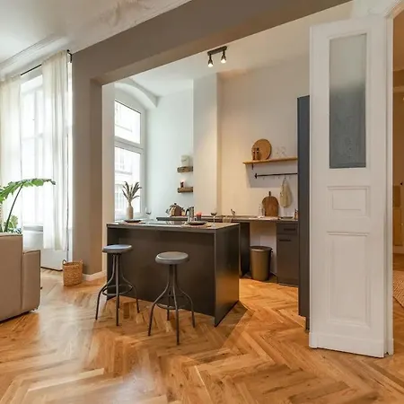 Apartament Center Luxury 4b Penthouse In Amsterdam